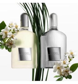 Grey Vetiver - Perfume